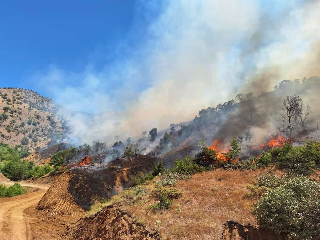Bingöl'ün Genç ve Kiğı ilçelerinde orman yangını 14